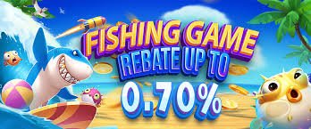 yoma999 Online Card Games Provider Evolution Pragmatic Live Casino